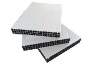 Quality Concrete 18mm Polypropylene Plastic Pp Hollow Board wholesale