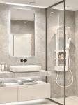 Modern Glass Shower Enclosure Interior Tempered Glass Partition For Bathroom