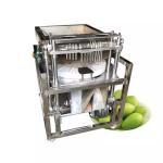 Automatic Emirates Date Pitting Machine Cherry Olive Jujube Pitter Corer Seed
