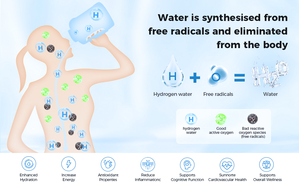 2500PPB Pure Hydrogen Rich Concentration Hydrogen Water Bottle with SPE/PEM Technology