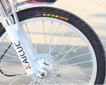 Foldable 24 Inch 200w 48V 700c Electric Bike