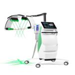 Effective Fat Removal Slimming Cold Laser Therapy Machine 800W 10D Maxlipo