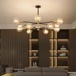 Vintage Wrought iron chandelier for Living Room bubble chandelier(WH-MI-246)