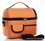 polyester non woven cans thermal frozen food lunch insulated cooler bag