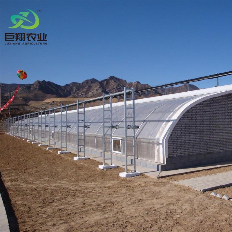 Hydroponics Flower Planting Vegetable Production Sunlight Greenhouse