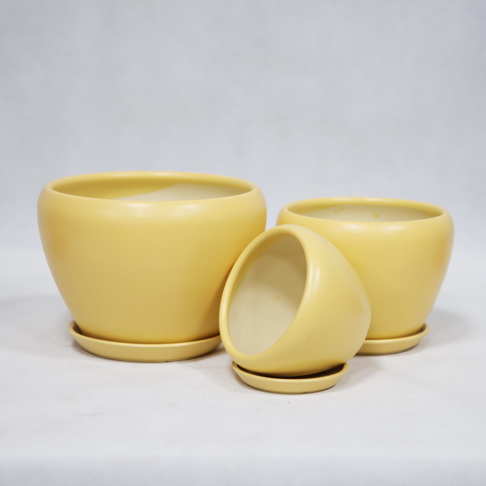 Affordable And Durable Ceramic Pots For Your Plants Custom Designs Available