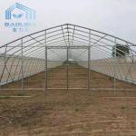 Fruit And Veggies PE Film Greenhouse Single Polyethylene Film Greenhouse
