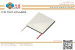TEC1-241 Series (50x50mm) Peltier Chip/Peltier Module/Thermoelectric Chip/TEC
