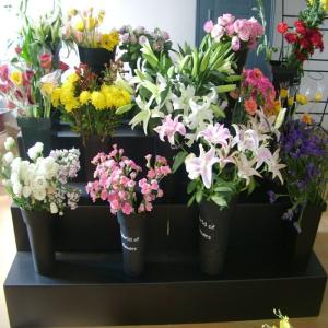 Quality Black Corflute Floral Display Stand PP 4 Step Flower Shop Display Equipment wholesale