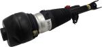 37106877553 Air Suspension Parts Air Suspension Strut