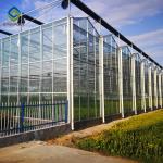 Agriculture Multi Span Commercial Glass Greenhouse Hydroponic Greenhouse