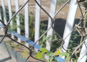Quality Horizontal SUS316 Wire Rope Trellis 200x200mm 3.2mm Steel Wire For Climbing Plants wholesale