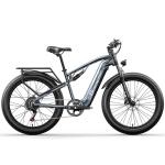 48V 500W Bafang Peak Electric Fat Tire Bike 1000W Full Suspension Mountain Ebike