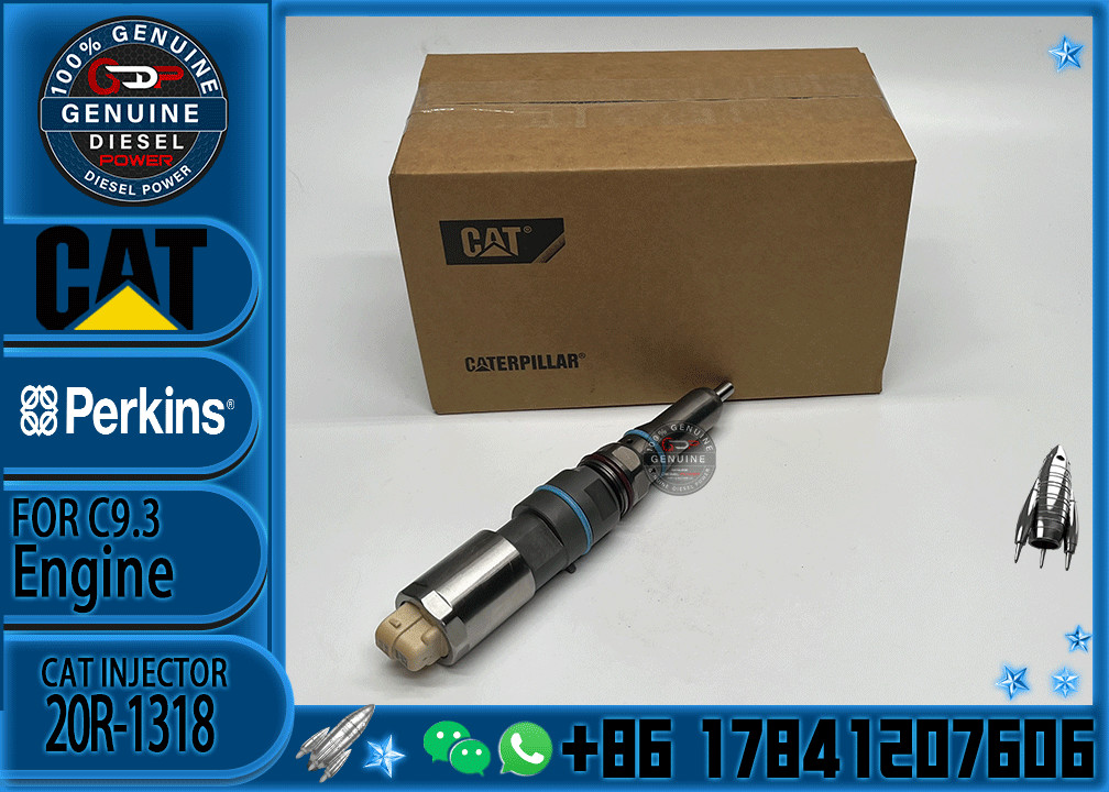 Common Rail Fuel Injector 456-3493 20R-5036 456-3509 456-3544 20R-5079 363-0493 367-4293 20R-1318 For Cat 336E C9.3