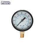 Panel 100mm Kg/cm2 Flange Type Pressure Manometer