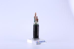 Quality NH-YJV LSOH Cables 0.6KV High Temperature Resistance Low Voltage Underground Cable wholesale