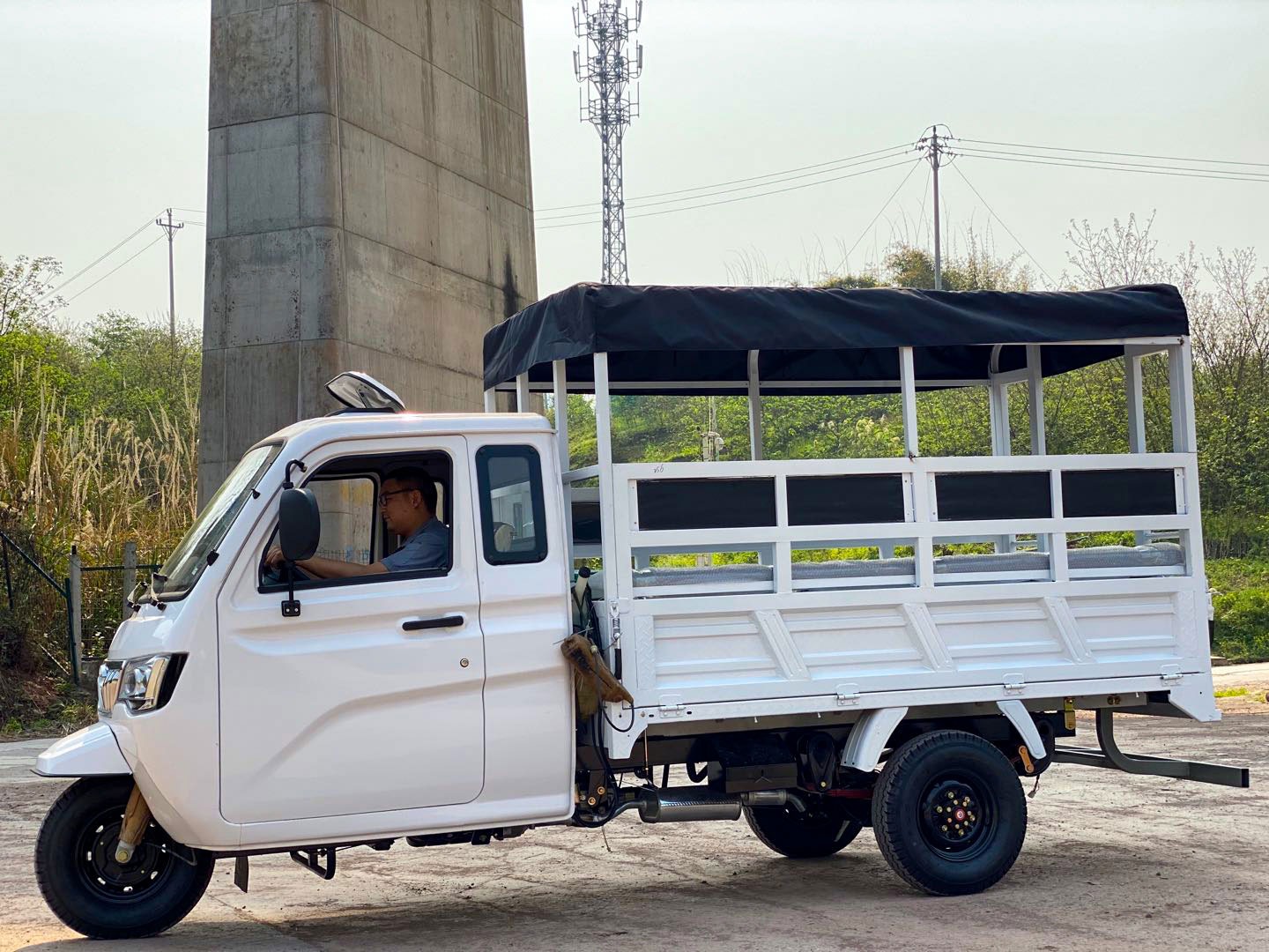 800W Semi-Cabin Motorized Cargo Tricycle with Enclosed Cabin and Plastic Cargo Cover