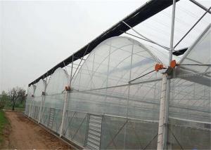 Quality Double Layer Plastic Film Greenhouse Comprehensive Protection Designed wholesale