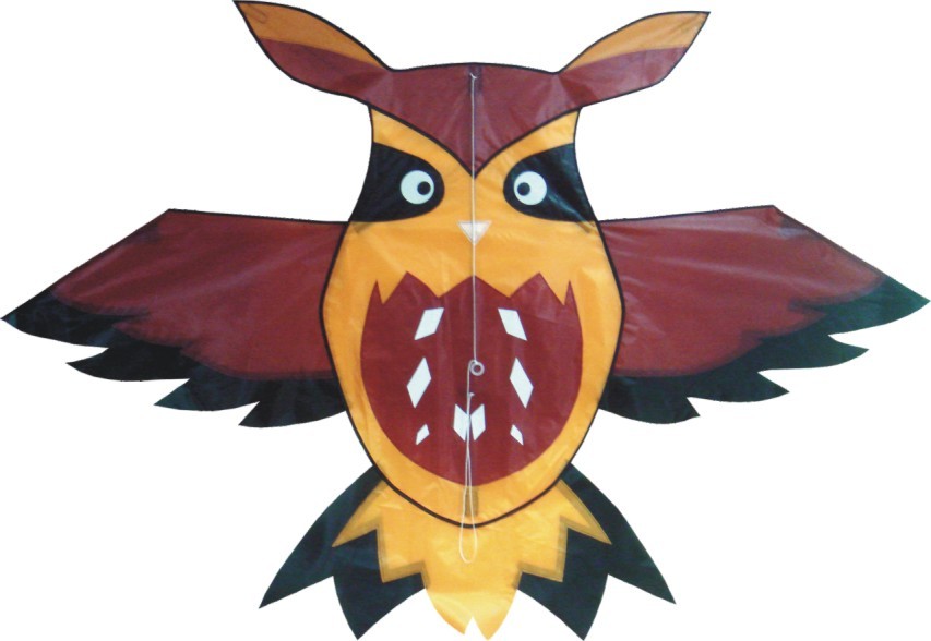 Single Line Owl Kite For Kids Playing Fiberglass Frame Type 2-5bft Swing Range