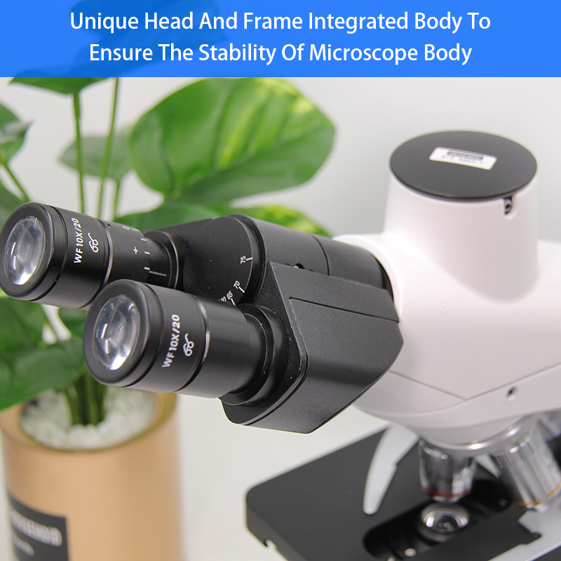 Student 1000X Compound Optical Microscope Laboratory Capillary Microscope