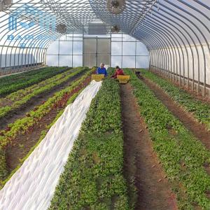 Quality Polytunnel Zinc Steel Frame Greenhouse PE Membranes Covering wholesale