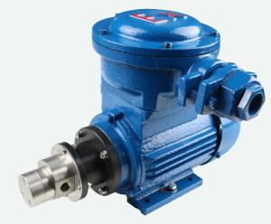 Quality FLOWDRIFT AC Asynchronous Motor-powered Magnetic Drive Hi-Pressure Stainless Steel Gear Pump KGP-06H wholesale