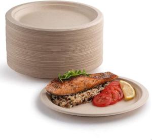 Quality Biodegradable Bagasse Disposable Plates For Birthday Wedding Picnic wholesale