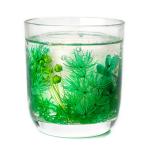 Glass Jar Scented Candle Customized Logo Acceptable Creative Wax Jelly