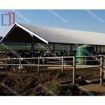 Prefab Steel Structure Warehouse , Metal Dairy Barn Building