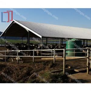 Quality Prefab Steel Structure Warehouse , Metal Dairy Barn Building wholesale