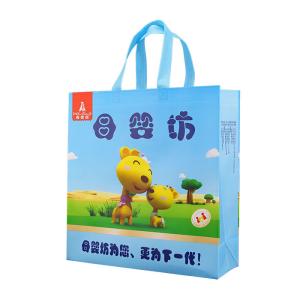 Quality Reusable Shopping Bag 122gsm Biodegradable Polypropylene Non Woven Bags Shrink Resistant wholesale