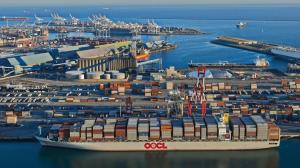 Quality Businesses Worldwide Deep Sea Shipping 40 RH wholesale