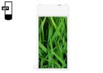 43″ Sunlight Readable Wall Mounted Digital Signage