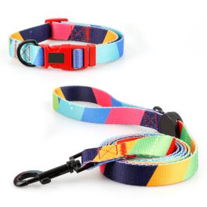 Quality Lightweight Puppy Collar And Leash Set Firm Metal Buckle Adjustable Dog Leash wholesale