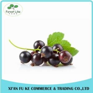 Quality 100% Natural Black Currant Fruit Powder wholesale
