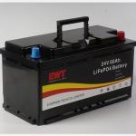 Lithium Iron Phosphate Battery 24V 60Ah For Golf Cart 1440Wh Power / Built In