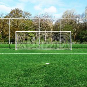Quality 2*25m PP Natural Artificial Grass 12000 Dtex Multi Sports Turf wholesale
