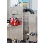 100kg/h Gas Fired Steam Boiler Vertical Style industrial gas boilers