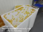 ISO9001 PPE 75 * 55 * 5cm Plastic Drying Trays