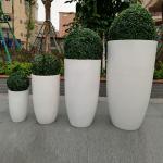 Indoor Hotel Fiber Clay Planter