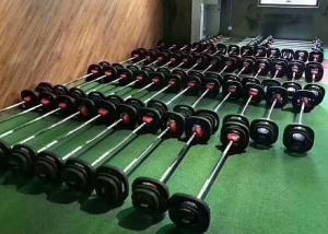 Quality Fitness Barbell Plate Set Crocodile Mouth Body Workout Bar Weightlifting Technique Bar wholesale