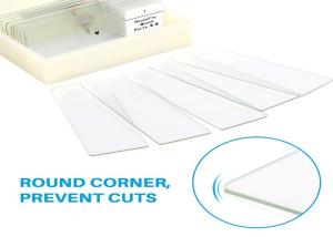 Quality Plant Disease Microscope Slide Set For Primary / Middle / High School wholesale