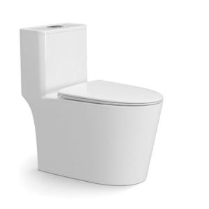 Quality Modern Ceramic One Piece Toilet 700*390*720mm Wider S Trap Siphon Flushing wholesale