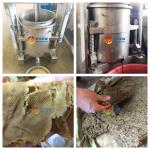 Mango Pineapple Tomato Blueberry Juicer with 15%-20% Higher Yield and Extraction