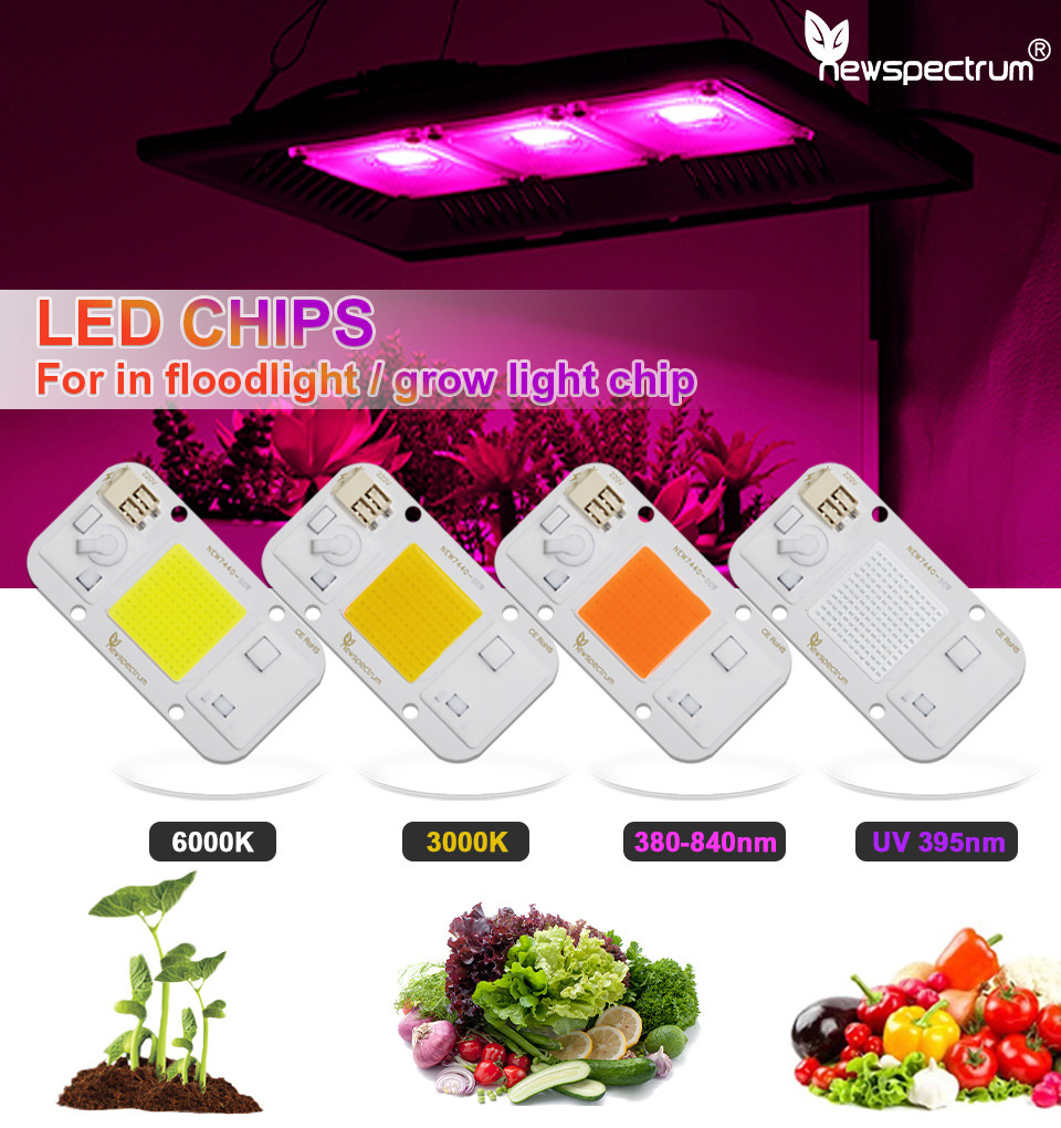 30W AC LED Module Cold White 6000K LED COB Chip For Floodlights