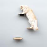 Black Powder Coated Cat Climbing Steps Wall Pet Furniture Sturdy Iron Cat Stairs