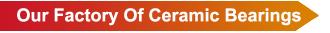 High Speed Smooth Feeling Ceramic Hybrid Bearing 163110 2RS for Biking Performance
