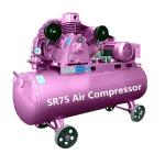Reciprocating Compressors Small Electric Air Compressors Machine Piston Air