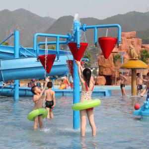 Quality Colorful Carp Spray Park Equipment For Children / Kids in Water Park Fiberglass Equipment wholesale