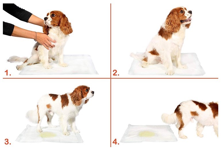 Disposable Super Absorbent Multi Layered Pet Pee Pad